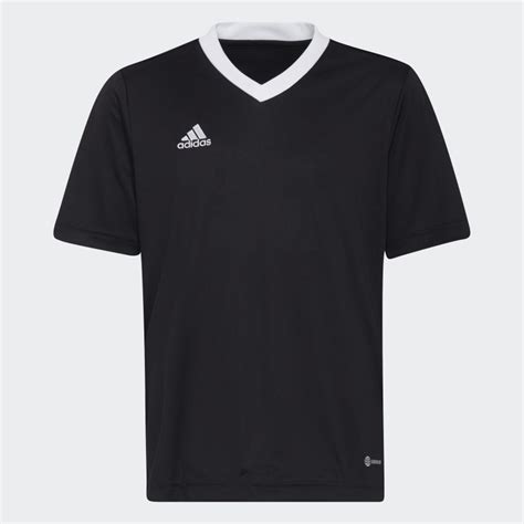 adidas entrada jersey